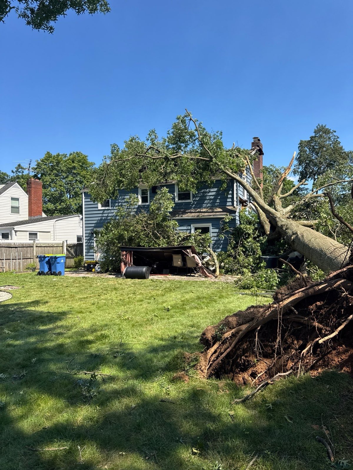 Uprooted tree on a North Plainfield NJ home — RESTORHIVE case study