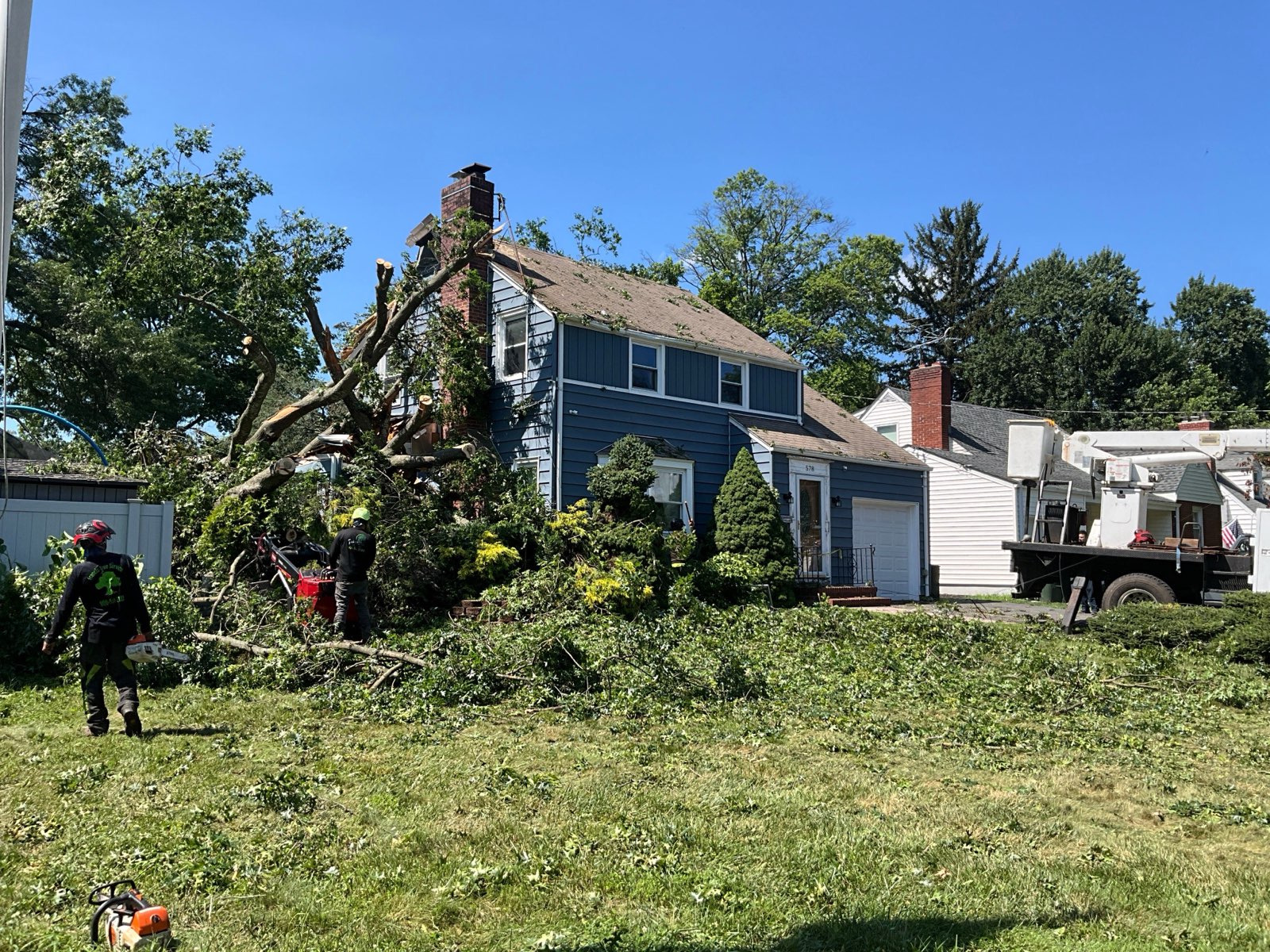 Taking the tree apart in controlled sections