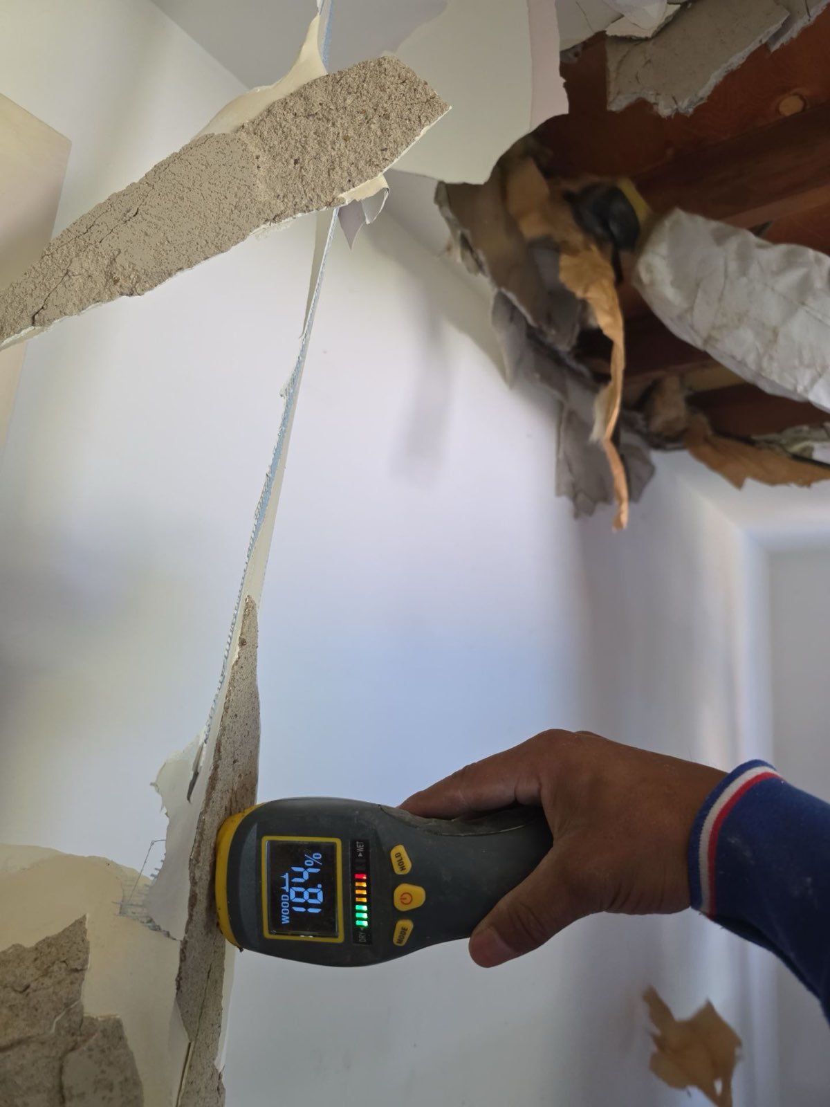 Moisture readings, wall by wall — tracking every drop of water
