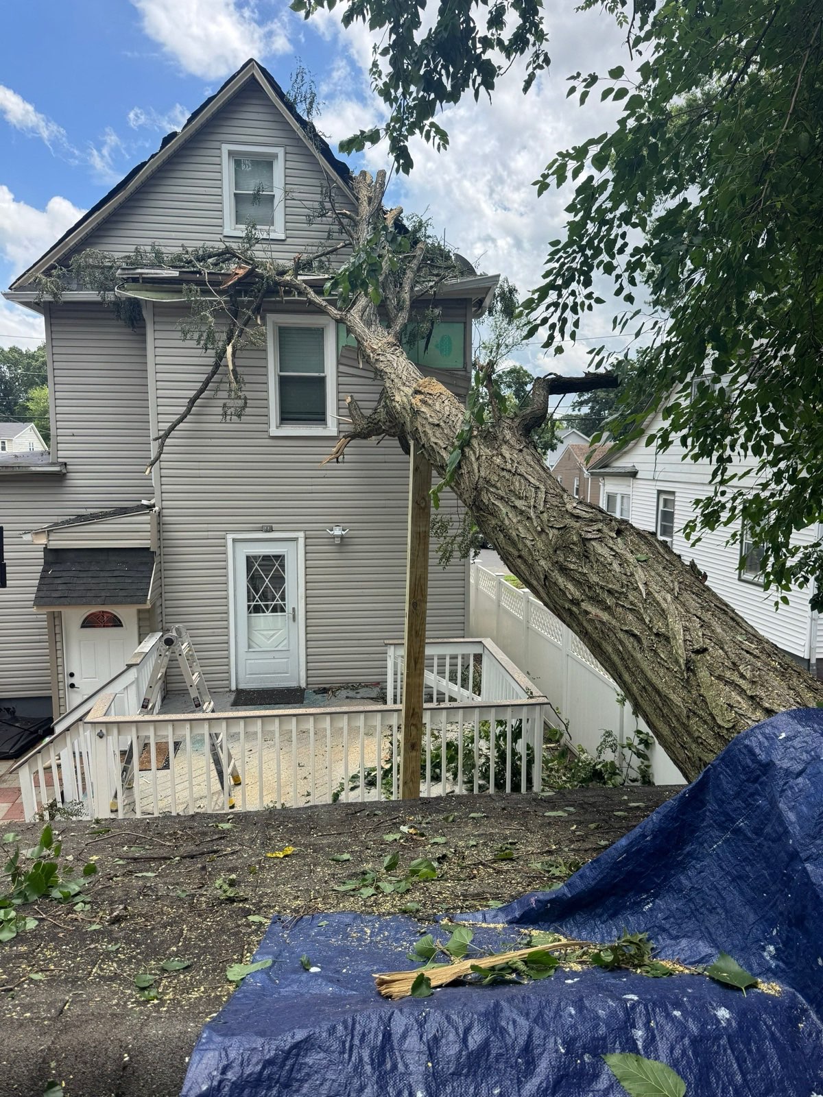 The trunk came to rest against the second story — branches through the roof edge